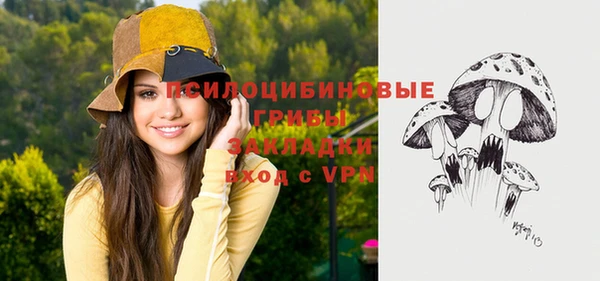 гашик Балабаново